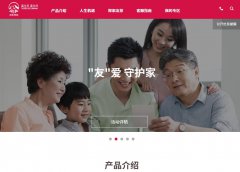 经典案例 - AIA友邦保险SEM/SEO优化 服务 