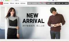 经典案例 - 优衣库/彪马/CA/安正 集团 SEM和SEO