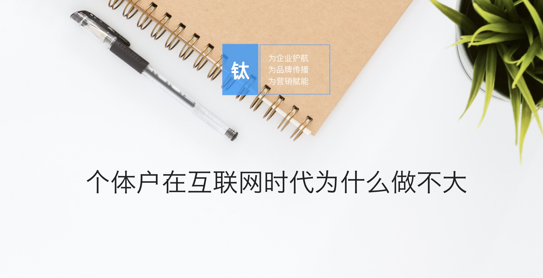 危机管理 - 确认传播Confirm 分析 ：个体户在 互联网 时代为什么做不大