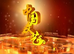 CCTV央视媒体 - CCTV-4《中国文艺》栏目投放 广告 多 少钱 ？