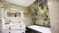 CCTV央视媒体 - CCTV-2《 空间榜样 》广告投放效果