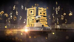 CCTV央视媒体 - CCTV-3《回声嘹亮》 广告 价格贵 不贵 ？