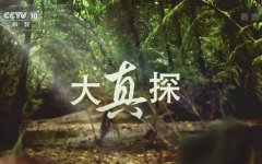 CCTV央视媒体 - CCTV-10《 大真 探》广告投放价格