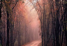 抖音推广 -  抖音热门 内容创作技巧分析