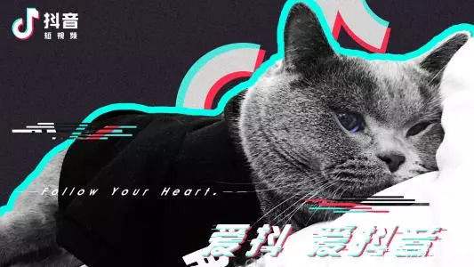 抖音推广 - 万殿壹煲太极酸菜鱼抖音 营销 策略 研究 