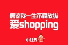 小红书 - 掌握小红书运营策略的 秘诀 