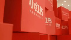 小红书 -  小红 书助力 品牌 营销创新