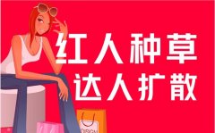 小红书 - 小红书的营销 新机遇 与策略分析