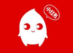 小红书 - 小红书营销新思路与 实战 指南