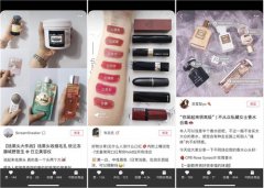 小红书 - 小红书的生态系统与 用户体验 