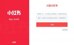 小红书 - 明星与KOL联动的推广策略