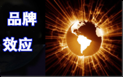 谷歌google推广 - 不以品牌建设为前提的google海外 推广都是 在耍流
