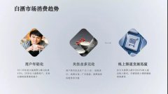 营销资讯 - 9102年，白酒行业爱奇艺广告怎么投？