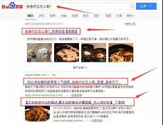 营销资讯 - 如何通过百度、谷歌等“搜索引擎”做精准引流