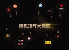 营销资讯 - 搜狐是怎样依据大数据做品牌投放？