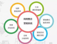 营销资讯 - 建站和网络营销有什么关系