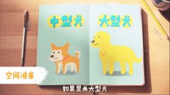 营销资讯 - 如何玩转“宠物经济”宠物+短视频？