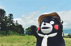 营销资讯 - 熊本熊开拍动画片，于计划播出！？