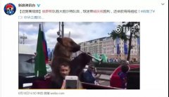 营销资讯 - 俄罗斯外贸，就选yandex推广！