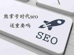 网站建设 - <b>如果是新网站想加快SEO收录要怎么做</b>