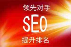 网站建设 - SEO新手怎么才能让玩挑战快速提升权重