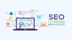 网站建设 - 新手SEO优化该掌握哪些技巧呢？