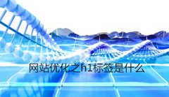 网站建设 - 网站优化之h1标签是什么