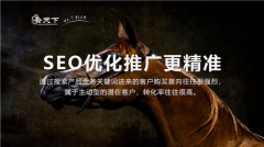 网站建设 - seo优化的核心是什么