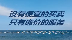 网站建设 - 建站费用为什么差距这么大