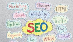 网站建设 - SEO优化网站收录量下降怎样处理