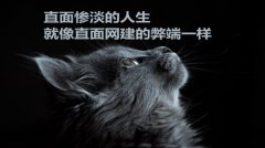 网站建设 - 网站建设的七个弊端