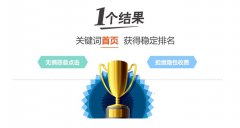 网站建设 - seo优化按天计费，不上首页不收费!