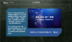 网站建设 - 靠产品质量发展的seo优化有前途吗