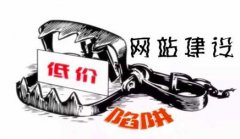网站建设 - 公司网站建设请远离低价陷阱