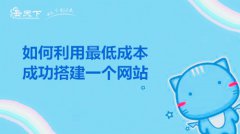 网站建设 - 搭建一个网站的成本竟然还没有养只宠物的成本