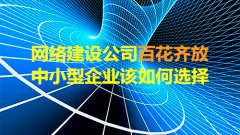 网站建设 - 网络建设公司百花齐放，中小型企业该如何选择