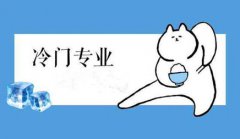 网站建设 - 冷门行业该怎样做网站优化推广