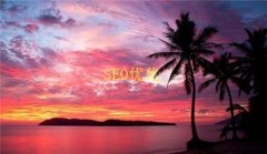 网站建设 - 蜘蛛陷阱五大类别