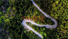 网站建设 - 死链接出现的原因及影响