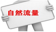 网站建设 - 怎样运用网站优化方法提高自然流量?