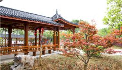 网站建设 - seo优化常见的垃圾外链