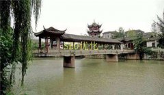 网站建设 - seo优化外链的五大类型