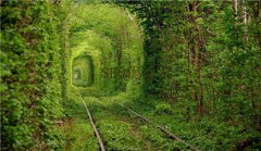 网站建设 - seo优化的五个要点