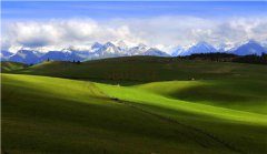 网站建设 - SEO优化：文章锚文本的优化方法