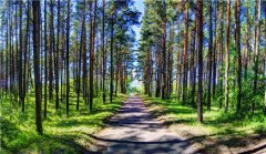 网站建设 - seo优化文章收录后又被删除是这么回事