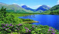 网站建设 - 四大SEO优化误区