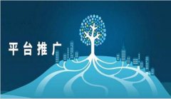 网站建设 - 如何把网站推广出去呢?