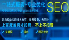 网站建设 - 中小型企业做SEO网站优化哪些因素影响盈利赚钱