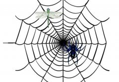 网站建设 - 注意！这样的内链不仅没效果反而还会降低排名