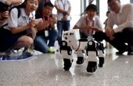 企业出海 - 外媒：为什么说在 AI 领域，中国或赶超美国